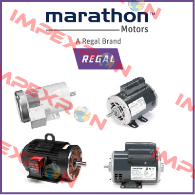 41012100A2G Marathon (Regal)