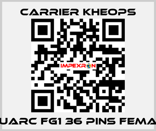 Fluarc FG1 36 Pins Female Carrier Kheops