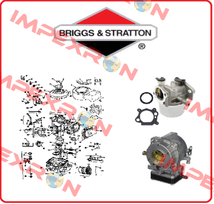 843953-BRI  Briggs-Stratton