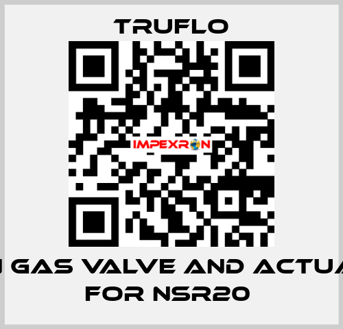 Main Gas Valve and Actuator For NSR20  TRUFLO