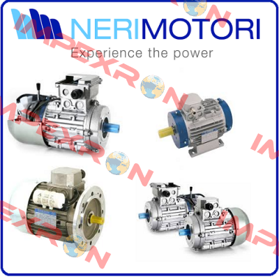 IEC CLF IP55 B5 (200/24)  Neri Motori