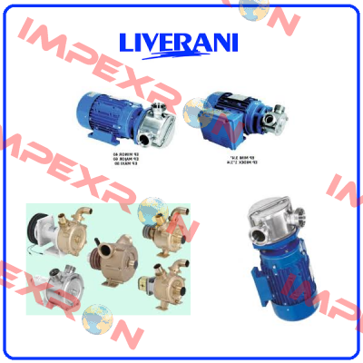 MOTOR FOR HBL30/2 A  Liverani