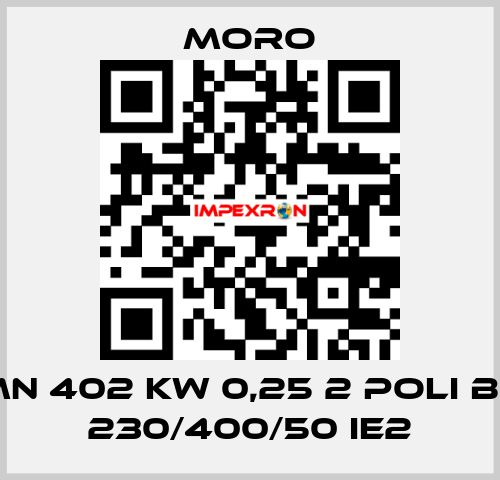 MN 402 KW 0,25 2 POLI B5 230/400/50 IE2 Moro