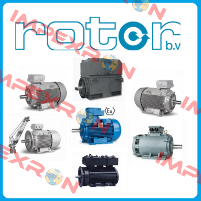 6RN100L04E35U46B 2081 Rotor