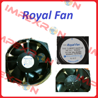 1100341 591653 Royal