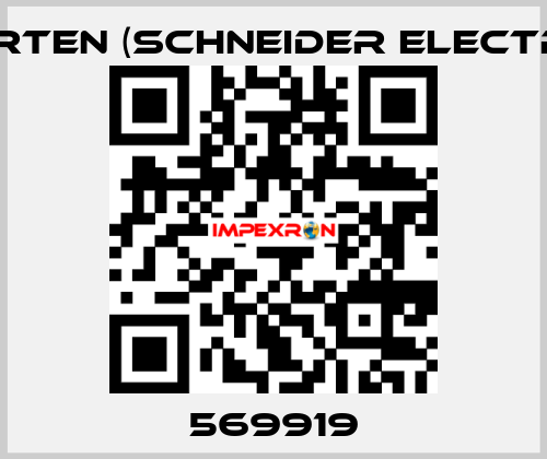 569919 Merten (Schneider Electric)