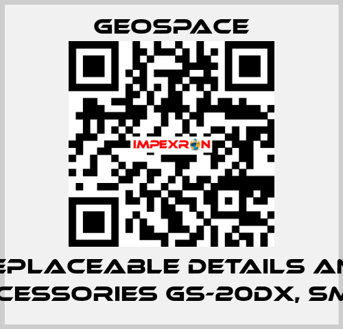 REPLACEABLE DETAILS AND ACCESSORIES GS-20DX, SM-4  GeoSpace