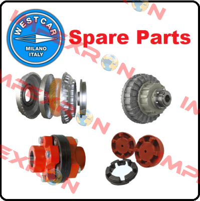 ROTOR C./W. SHAFT AND BEARINGS            FOR DRUM BRAKE M 80/60  Westcar