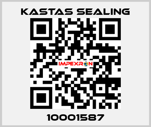 10001587 Kastas Sealing