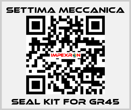 Seal kit for GR45 Settima Meccanica