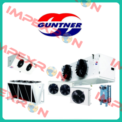 VT039U Guntner