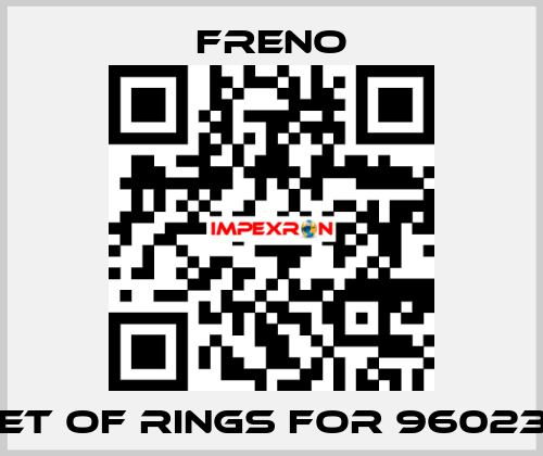 Set of rings for 960233 Freno