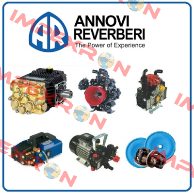 SUCTION AND DISCHARGE VALVE SET FOR SHP 10.50 WASHING PUMP  Annovi Reverberi