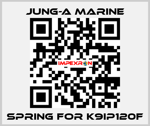 spring for K9IP120F JUNG-A MARINE