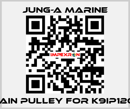 main pulley for K9IP120F JUNG-A MARINE