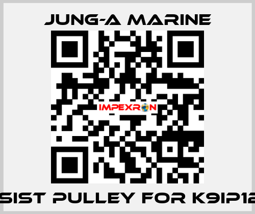 assist pulley for K9IP120F JUNG-A MARINE