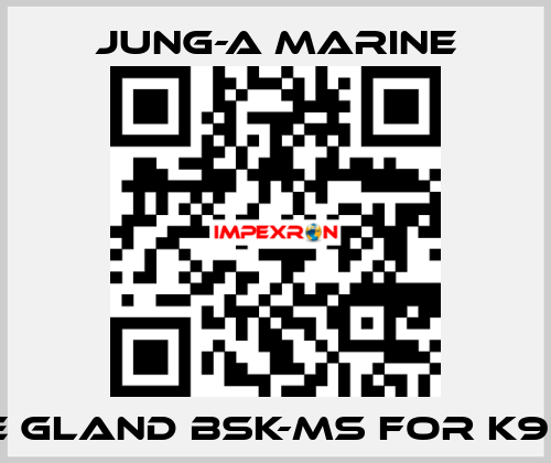 cable gland bsk-ms for K9IP120F JUNG-A MARINE