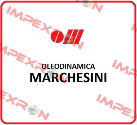 V0693/300 Oleodinamica Marchesini