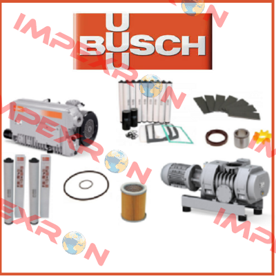 RC0040.E503.1002 SN:U081902899 OEM Busch