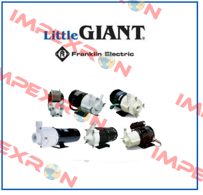 187005 Little Giant