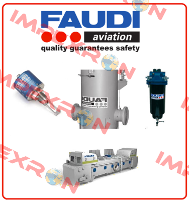 FW 10-H-T-4-842-10 FAUDI