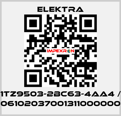 1TZ9503-2BC63-4AA4 / 06102037001311000000 ELEKTRA