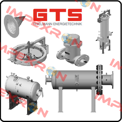 13-ORD-101030-VITON GTS-Thielmann Energietechnik