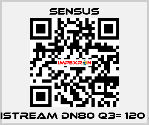 Meistream DN80 Q3= 120 m3 Sensus