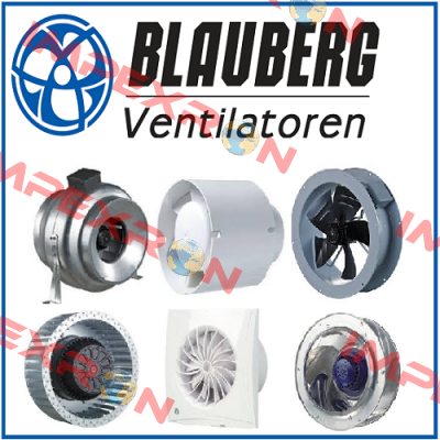 8011627 Blauberg