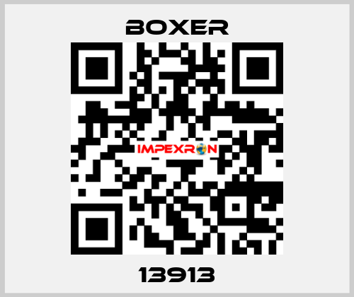 13913 Boxer