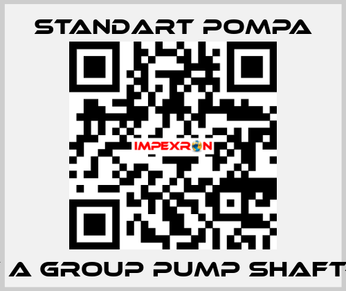 SNT A GROUP PUMP SHAFT-316 STANDART POMPA