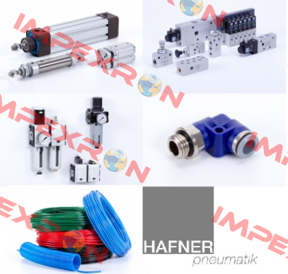 MNH 311 121 NPT Hafner