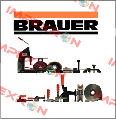 V150/2B Brauer