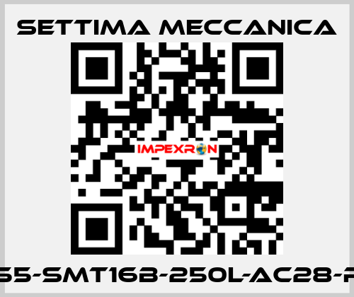 GR55-SMT16B-250L-AC28-RF2 Settima Meccanica