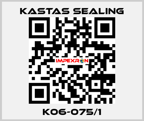 K06-075/1 Kastas Sealing