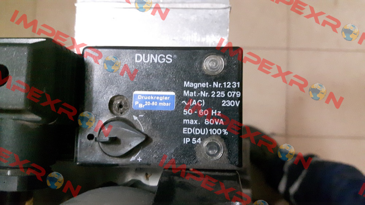 228295 (1231 AC 230 V IP 54) Dungs